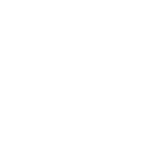 Dezinoir